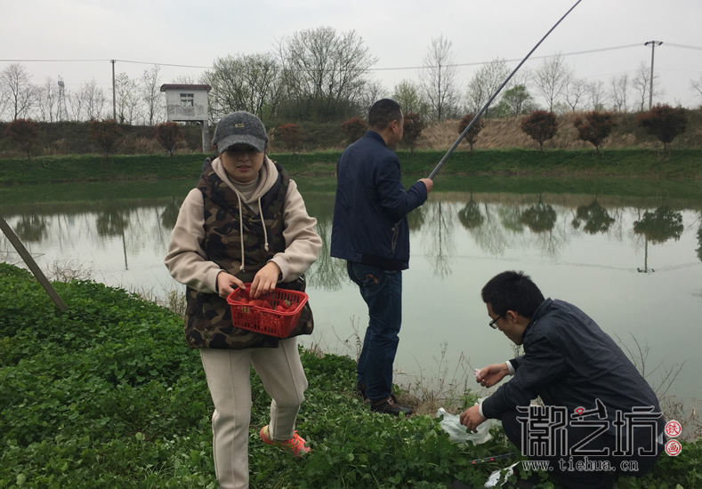 蕪湖鐵畫知行社南陵農(nóng)家采風(fēng) (8)