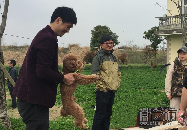 蕪湖鐵畫知行社南陵農(nóng)家采風(fēng) (11)