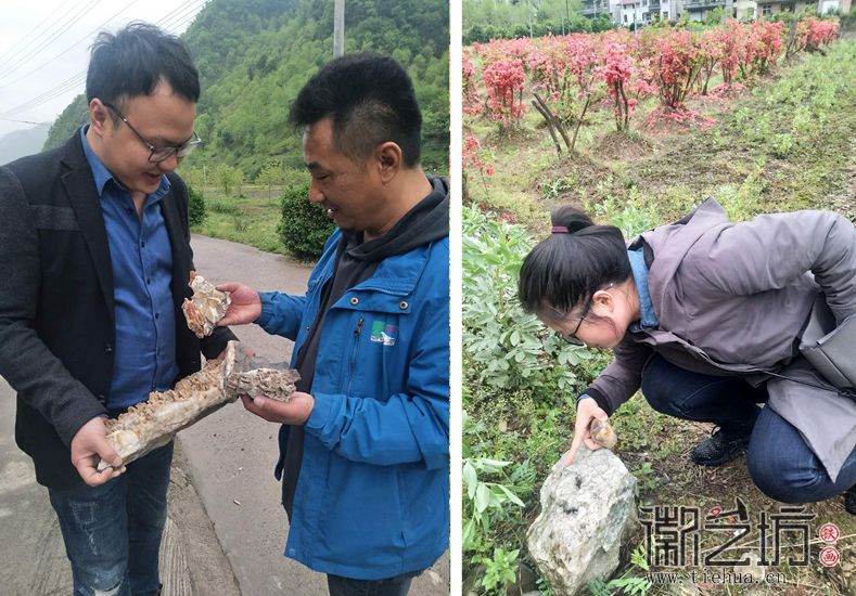 蕪湖鐵畫(huà)知行社第二十八期&mdash;&mdash;尋訪宣石21