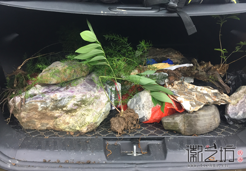 蕪湖鐵畫(huà)知行社第二十八期&mdash;&mdash;尋訪宣石61